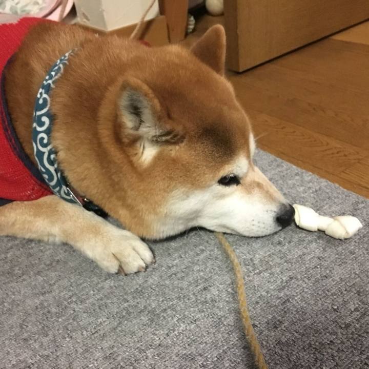 9b1b2411 73c9 4654 9d22 dedf95ffb3a6 1519898364253