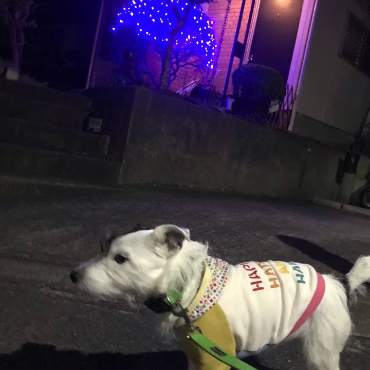 9b1b56f8 7dda 43ed bacf 61a9d7c13df7 1543844598117