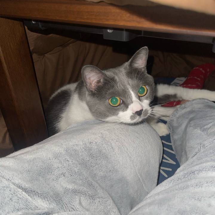 9b1b66d8 ffee 44d6 977f a8f2832a03ab 1733900871691