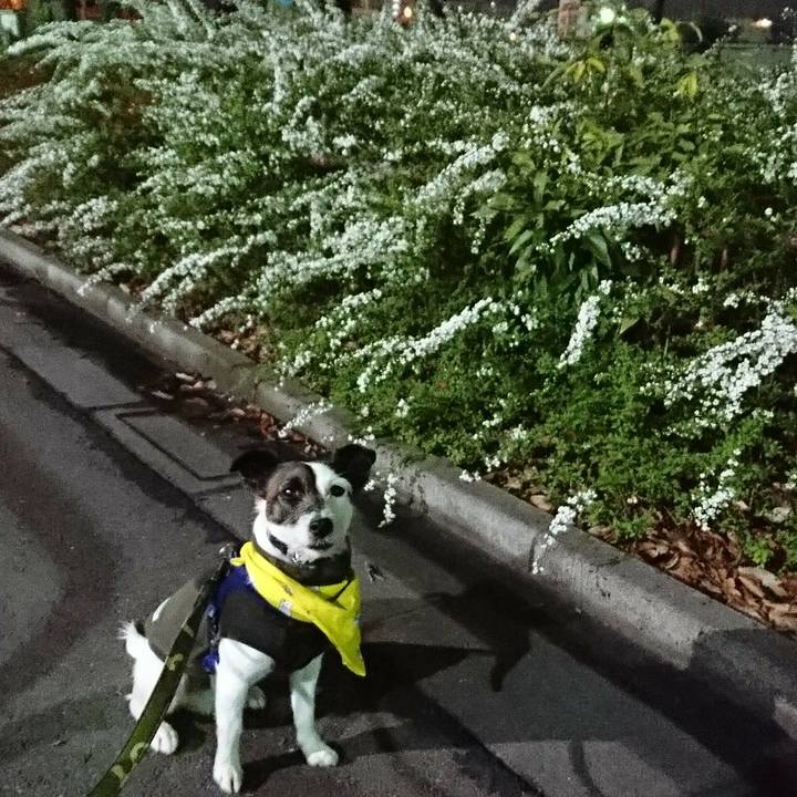 9b1ba6f4 d137 4568 bf47 f029de90b68d 1521718967985