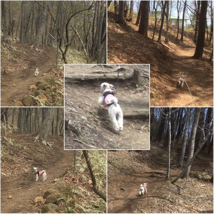 9b1bb215 83a6 403a 95c3 c3c0d60d61ec 1556694948326