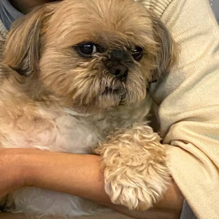 9b1c0869 9943 4641 a5e7 1a9f85ac4321 1587469596250