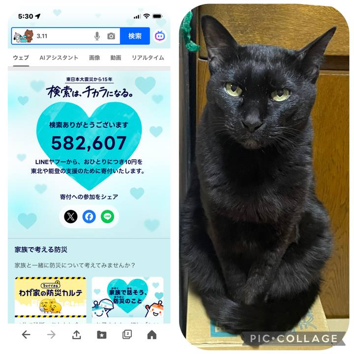 9b1c8110 481f 439c 92e0 74b2c0a4b0a1 1773174880799