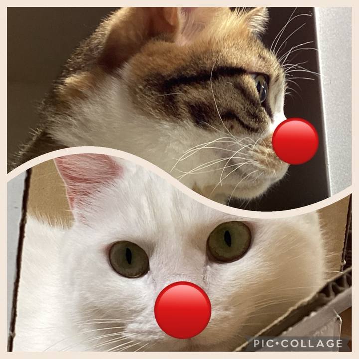 9b1c8626 4681 4104 ab4c 9819bfb5e0f6 1722985002436