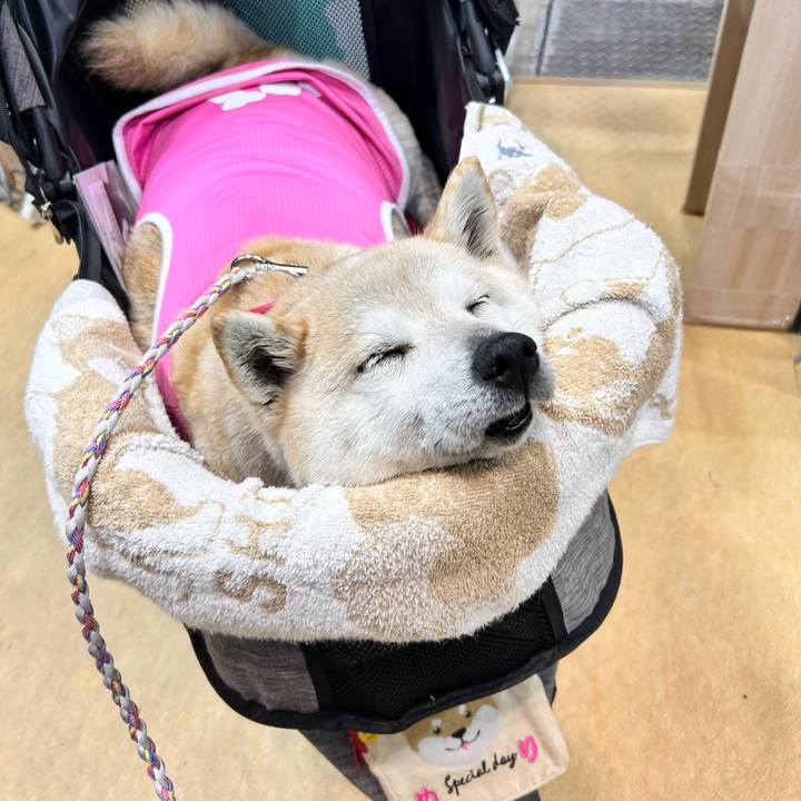 9b1ca2d7 bcb9 48f0 a66f 3eca50f9ce34 1758606649523