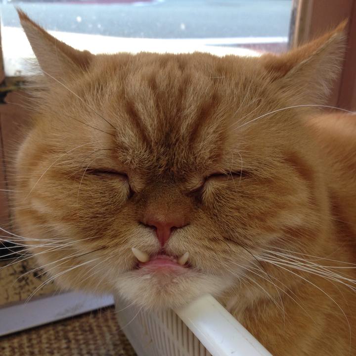 9b1cc27e 5f29 4356 b617 70d4f6dfedf1 1509186881775