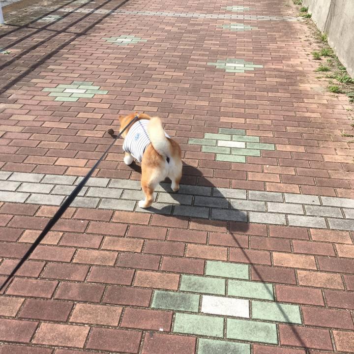 9b1cec14 e3d6 45a4 a690 cf1b8424ec78 1540957815180