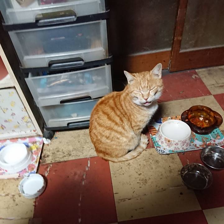 9b1d05fe 86aa 4a7e aa1b fa1cb42fd317 1584388809892