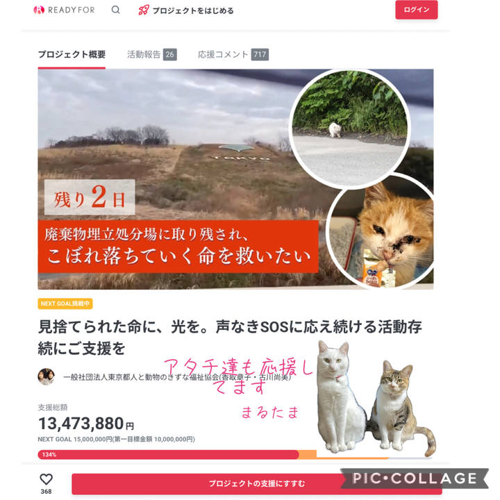 9b1d1c09 45e8 4fd1 9e11 1197d20df31e 1753827120520