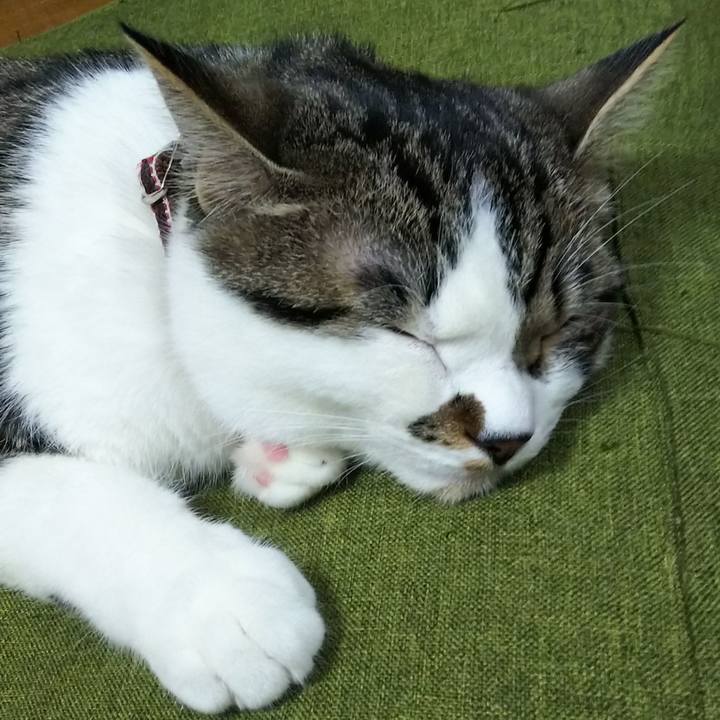 9b1d35fa 1780 48b0 9d16 9e0b468f4b3e 1619950457113