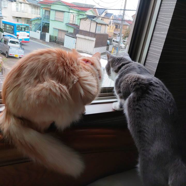 9b1d4a17 7231 4c2c 90c9 10473afdc3bd 1667609288260