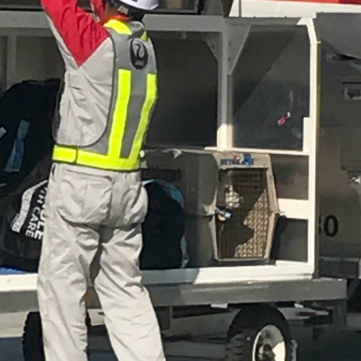 9b1d572d a0b4 42d0 8422 43aa3f160603 1509669632890