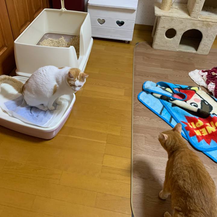 9b1dbbd3 e0ee 45a9 9dd8 f6d4c06a48f9 1666611247117