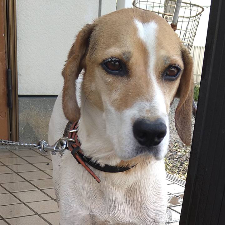 9b1dbd72 0ad7 4e0f aace c5c39e8acfec 1661747837901