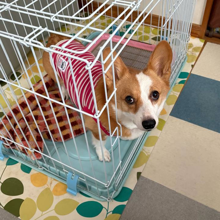 9b1dceae 1f44 4a49 96a8 c504d00d8323 1771920018555