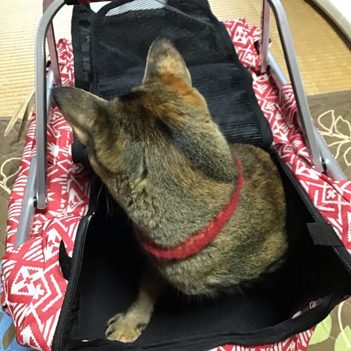 9b1e7c3a 6fc6 47e3 9c29 c005406f3504 1602211075349