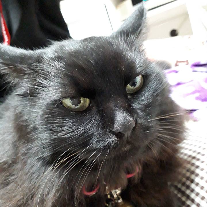 9b1eaf1a 8b91 4c78 8b42 e8a746114d05 1542715300974