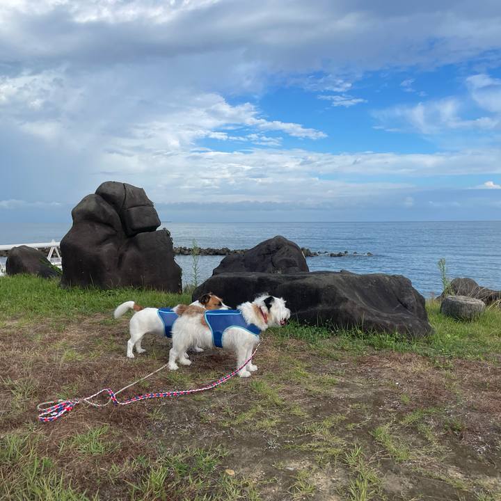 9b1ede2e 26b6 4df0 b1f6 64b8284c6057 1725241581485