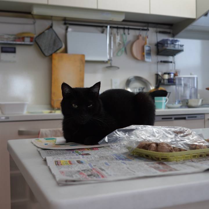 9b1ee263 1e1e 43a3 96ed d157f44533c5 1604329004469