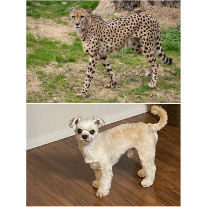 9b1f089a 1e8e 4208 8839 5c3ece07a823 1571529033288