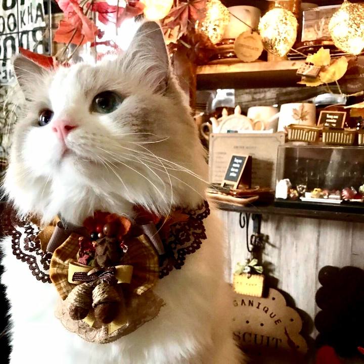 9b1f2ed9 9b23 44c4 8da7 dfff51a8c961 1631657829332