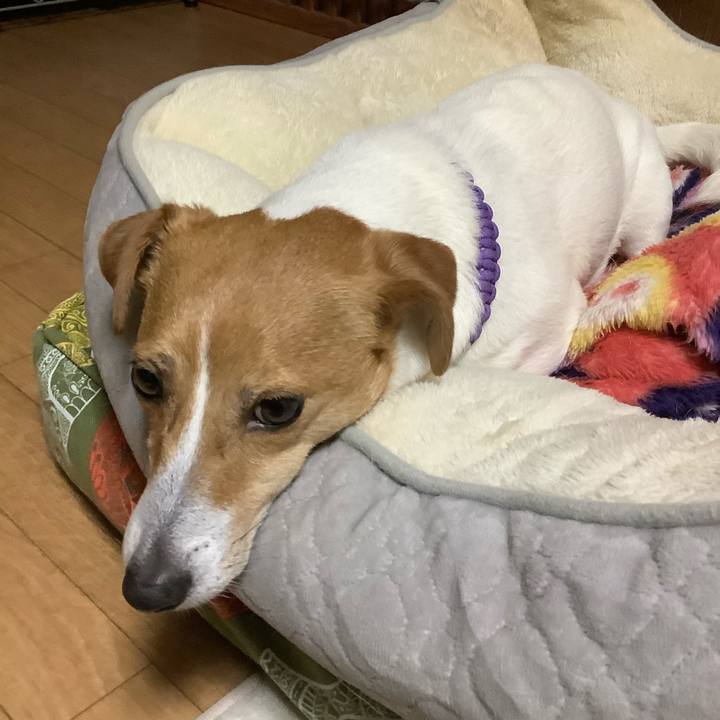 9b1f9a60 3e1d 4221 bc6b 6f6a4b2777d0 1587263892558