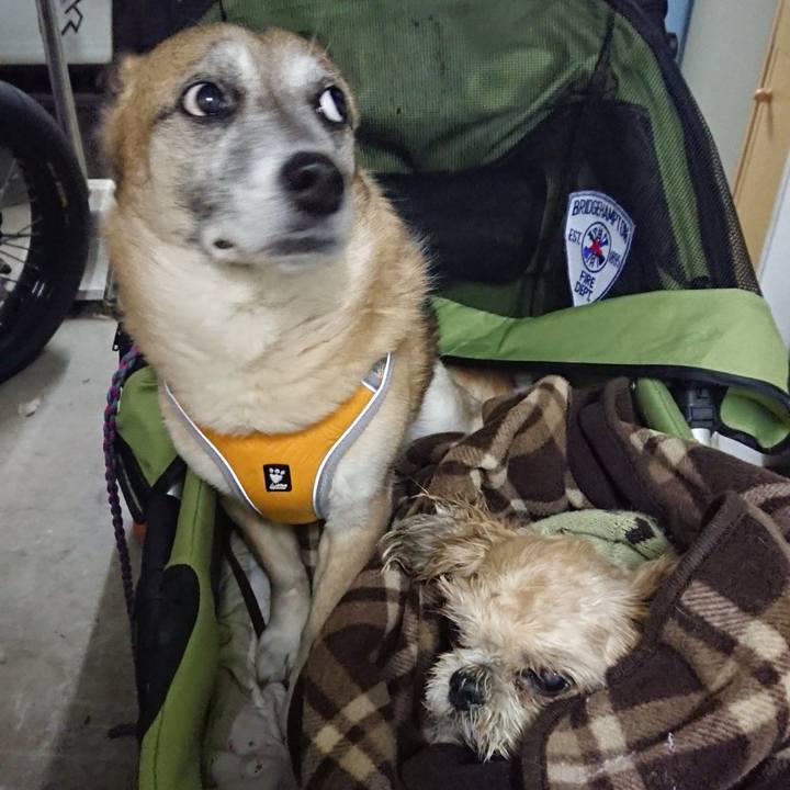 9b1f9ad5 9e09 4a48 8ab0 1ac6b579cb3c 1553767402611