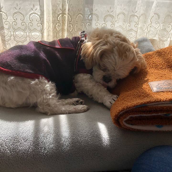 9b1fb57b fe70 4fc0 bffe e479438c0fcc 1612994574651