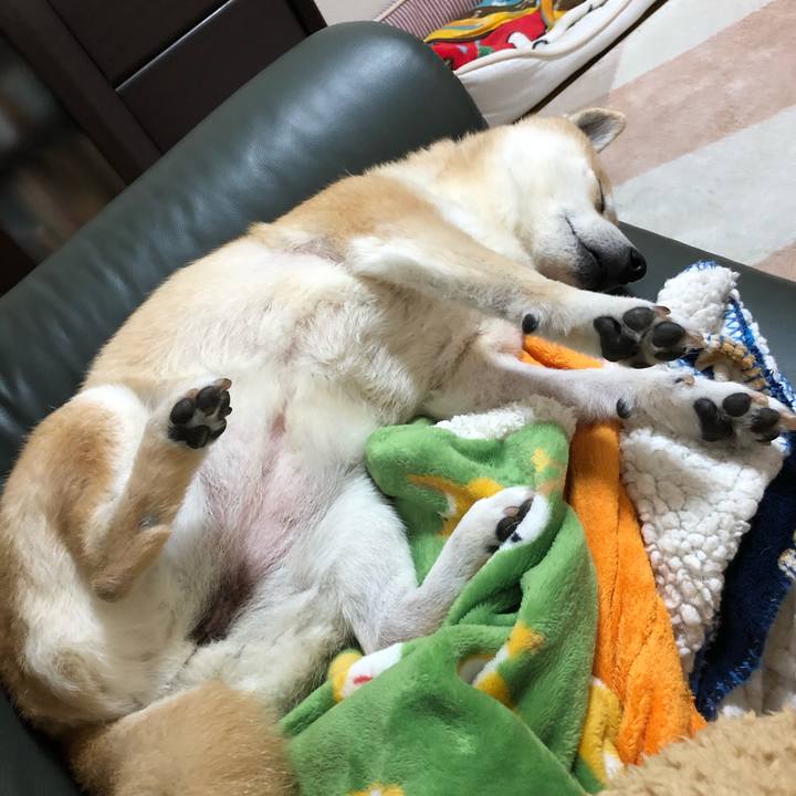 9b1fe024 1db2 40f9 a545 1e3f2a6ebdee 1581773152797