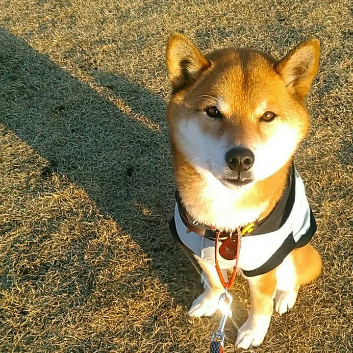 9b1feb5d 3b0c 4489 af6f 349460bd872e 1579854158799