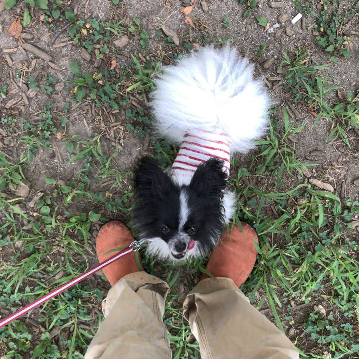 9b2054e8 0269 4cf6 b441 a31c98e32e1f 1531952656302