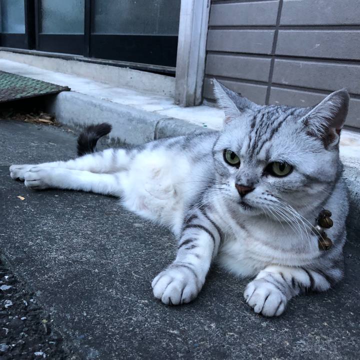 9b209dda 1edb 444b bdd7 c4c66e38f5b6 1534673805152