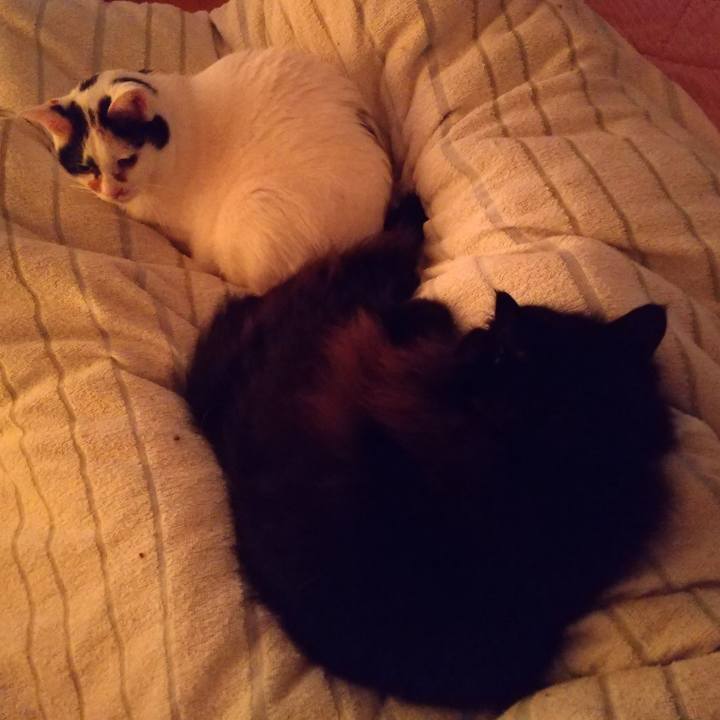 9b20a6f0 3b5b 464f a672 8f368694cbbd 1669674624358