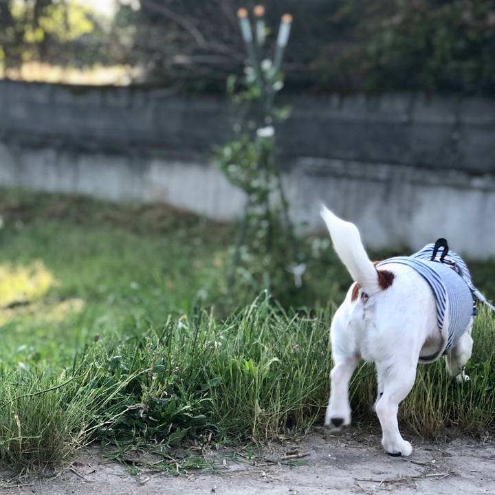 9b20b532 f810 4ce3 82a3 3773db5c9c17 1749113528050