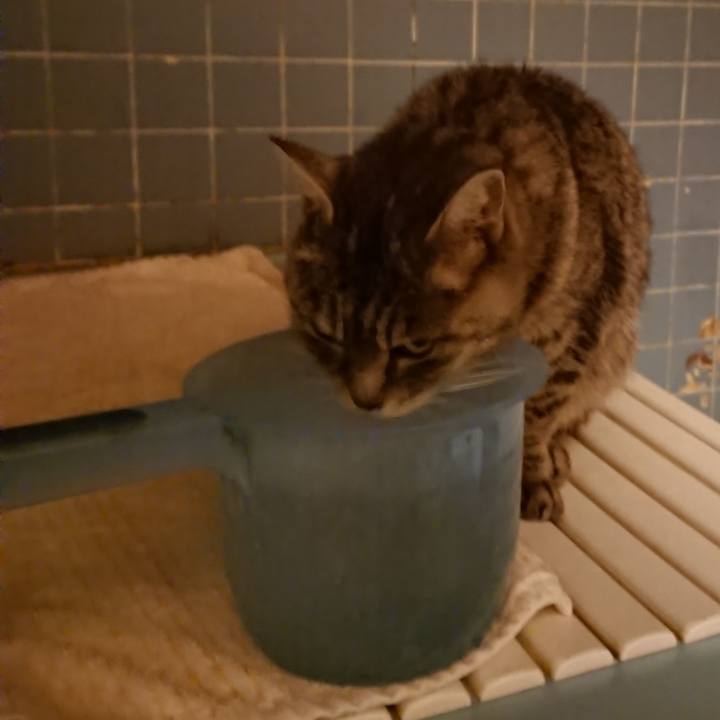 9b20c5cb 882b 4f81 a313 17a36867968b 1577525956259