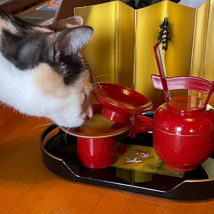 9b20cd8c 1424 4e42 8a88 d2d03f74adb2 1704073874228