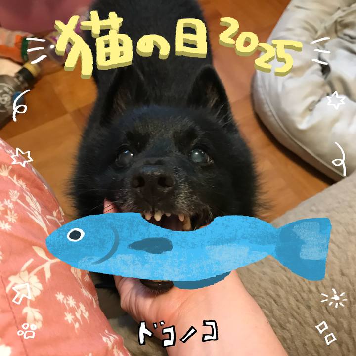 9b20ce46 d578 49bd 8f60 9ed34d1406f5 1740205883805