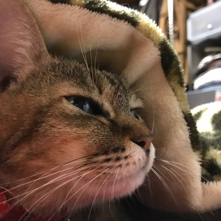 9b20de6e 5bf2 4788 bf2d d25b891b46da 1512194361227