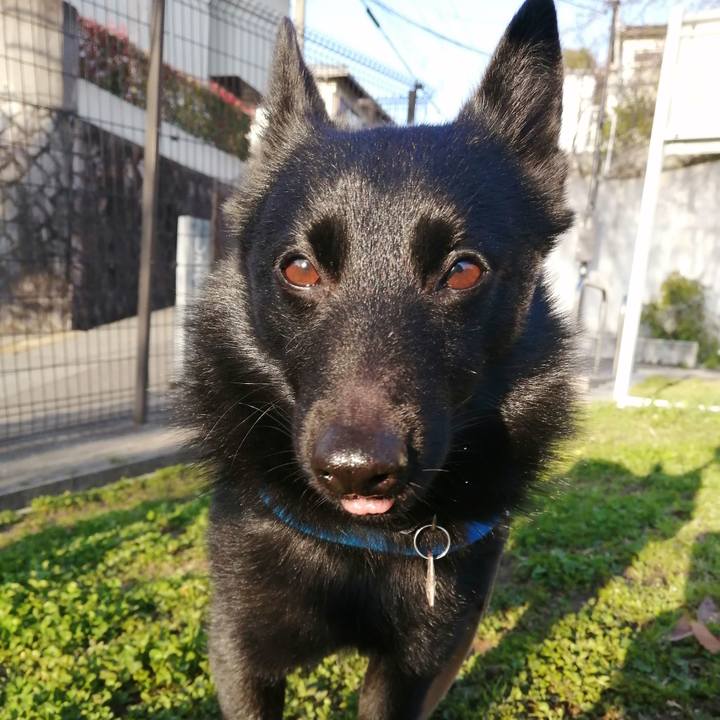 9b20e5ff a7a6 47f3 99b4 18f6de3c91f0 1616450595293