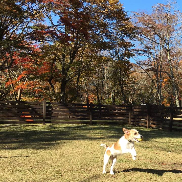 9b20eb1e 01f2 4d46 a266 16aa60c4e26d 1541767683568