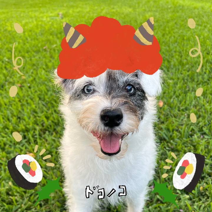 9b20f490 dc0f 4a71 ba6d b28ba9e92abf 1706824946784