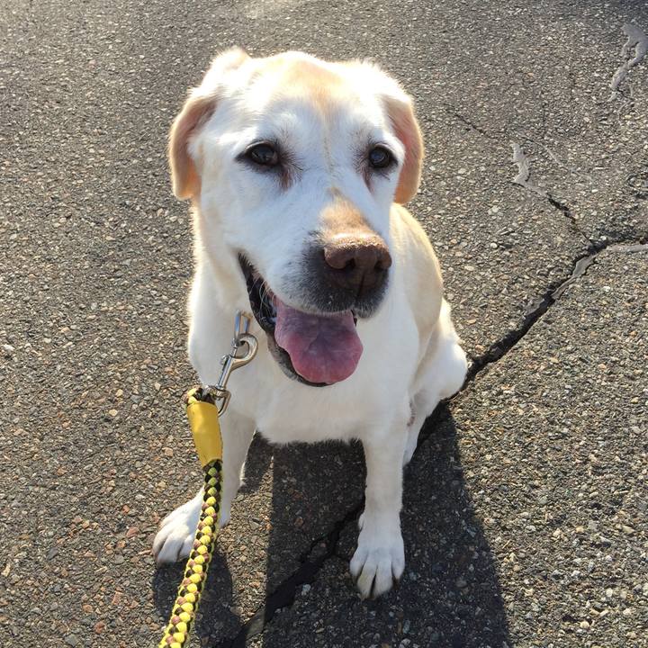 9b213459 7080 4fe8 a886 ff9518d1d48d 1521530216128