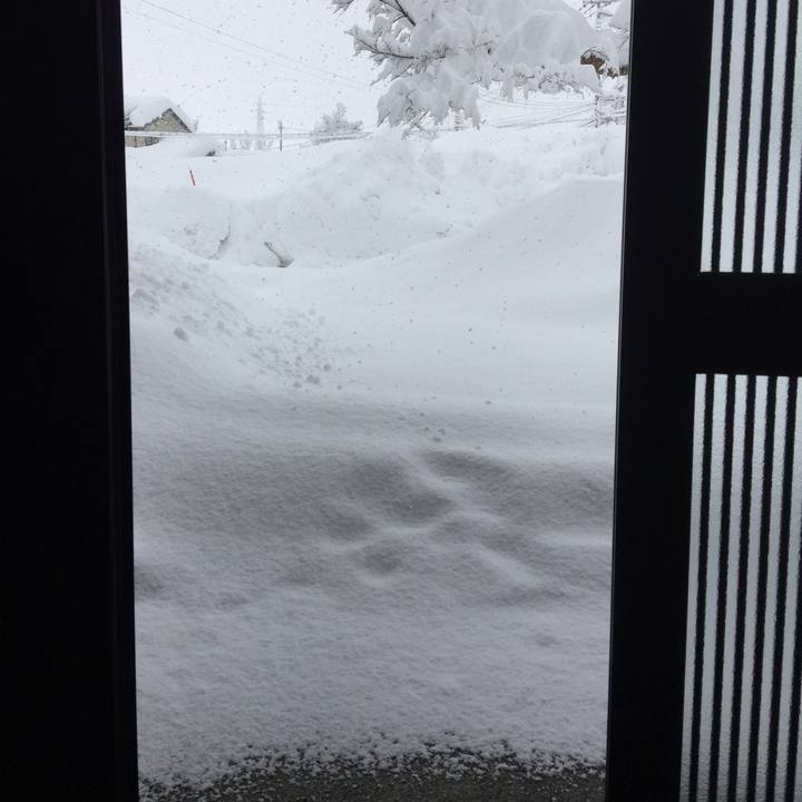 9b2156fa 2b46 47b3 b597 035bef6085df 1517888196459