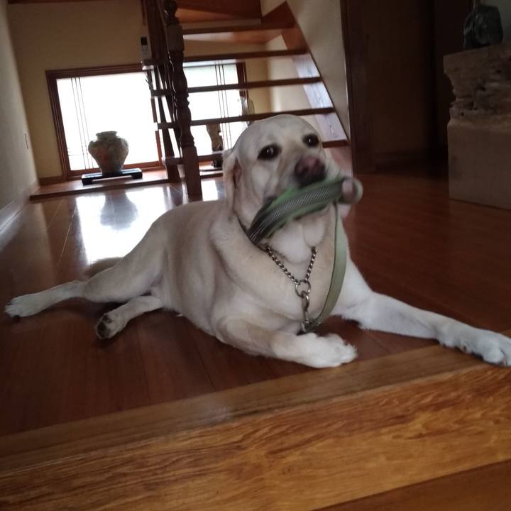 9b216acc 63d7 4971 96ef 850d06ecd827 1561193448976