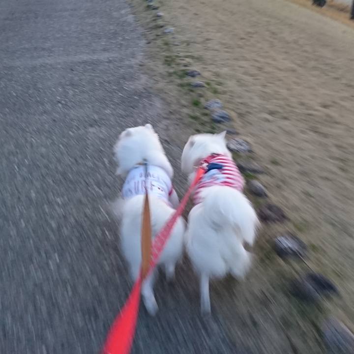 9b21c338 2ab3 48f7 9a34 9d813f319910 1553247643833