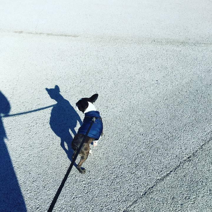 9b21e153 292a 4ed4 8a65 aa734659f4f8 1517805827557