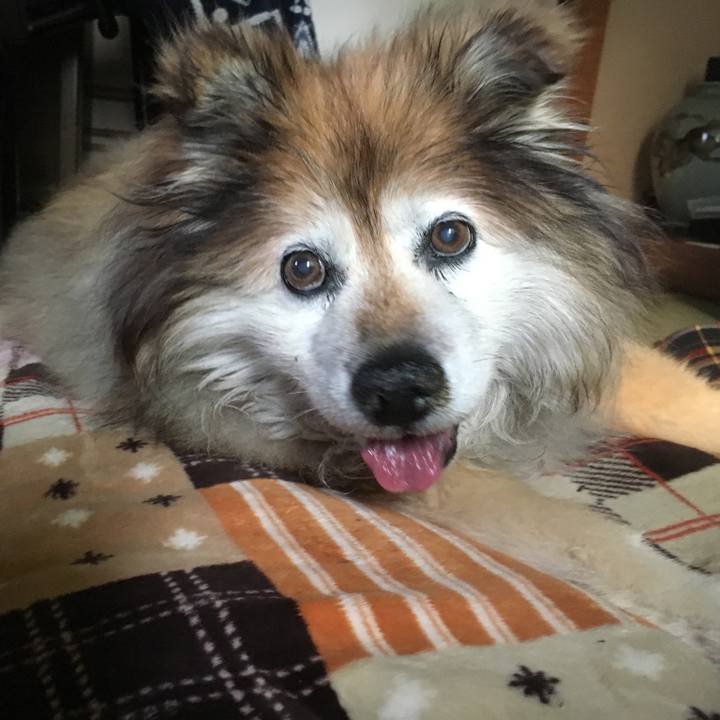 9b22080f 4186 43e2 8b42 5316acc66c66 1599715383525