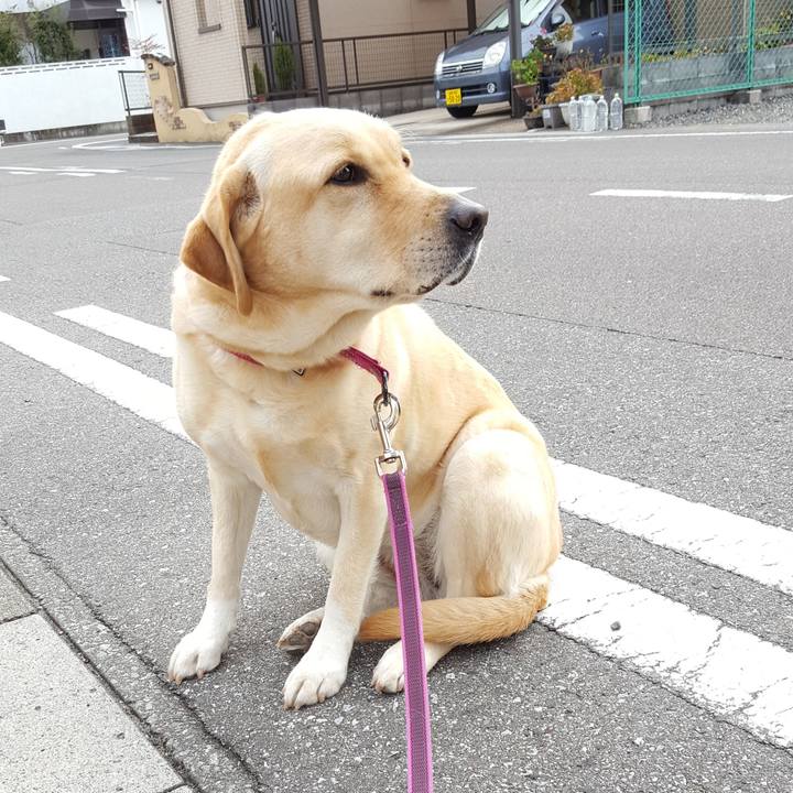 9b221b8b 4493 4c9f a6a9 51a3b5ad12e8 1515997865333