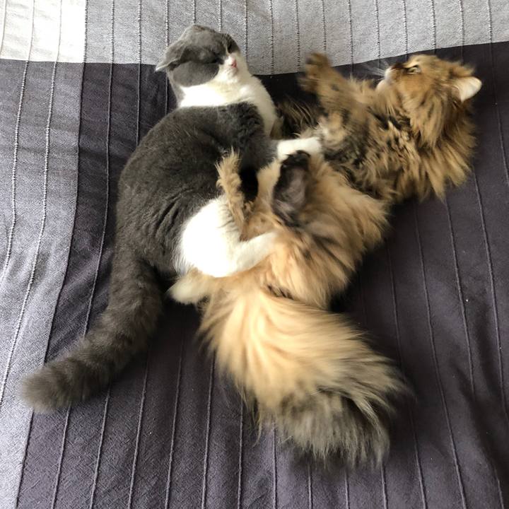 9b225566 b072 4f1e a359 2abb1e4f3a90 1522744977619