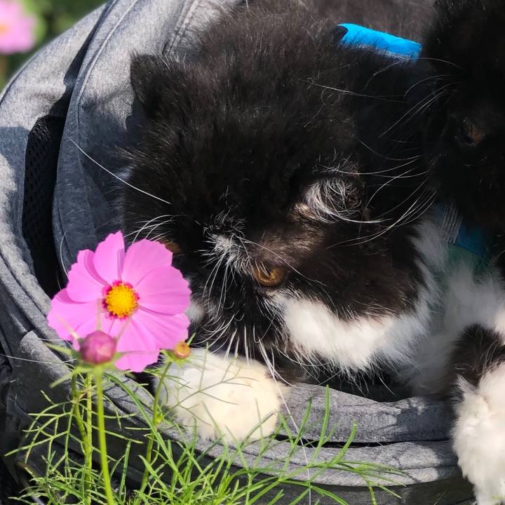 9b225d8b ff7f 474f acc7 bf7d202f056f 1633763275793